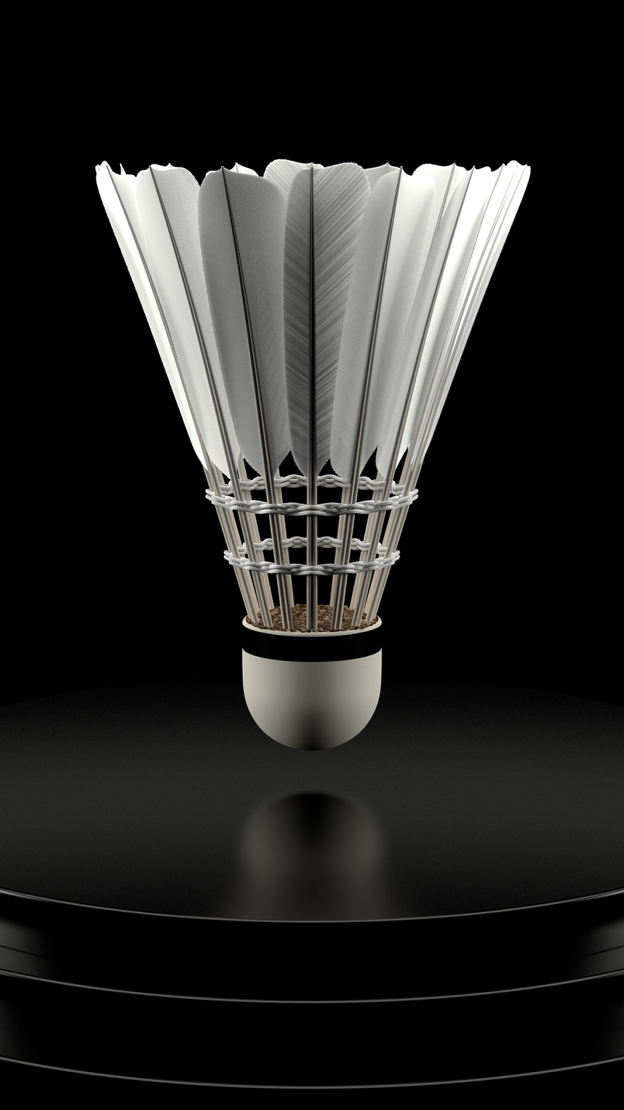 森纳已经成 森纳已经成