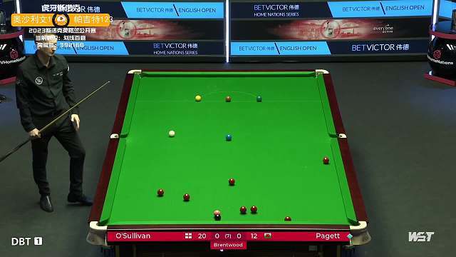 斯维亚特克 斯维亚特克